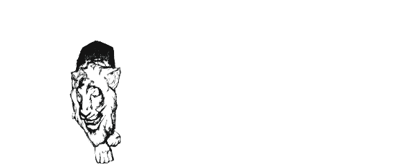 Matthew M. Price, the co-creator of PETRA LIVING